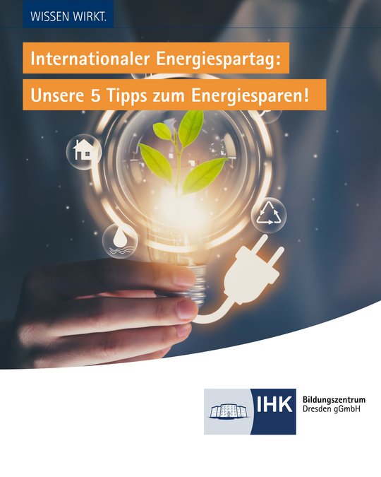 A lightbulb with a plant emerging from it is surrounded by icons representing energy saving, such as a house and a power plug. The text above reads, "Internationaler Energietag: Unsere 5 Tipps zum Energiesparen!" indicating a focus on energy conservation tips.