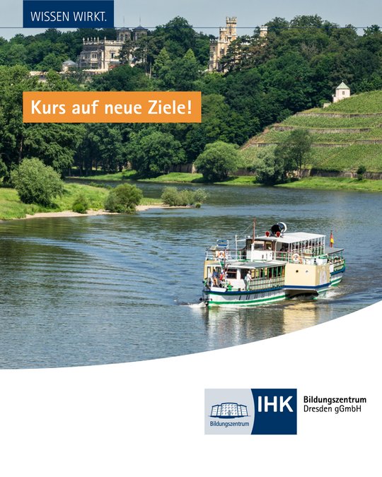 Dampfer auf Elbe