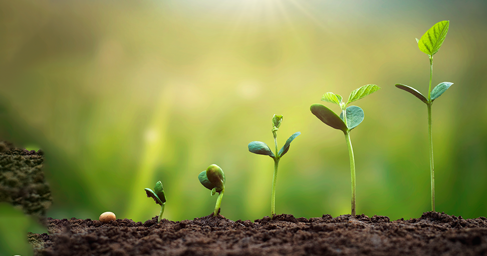 Bild für Kurs: Betrieblicher Klimamanager (IHK)